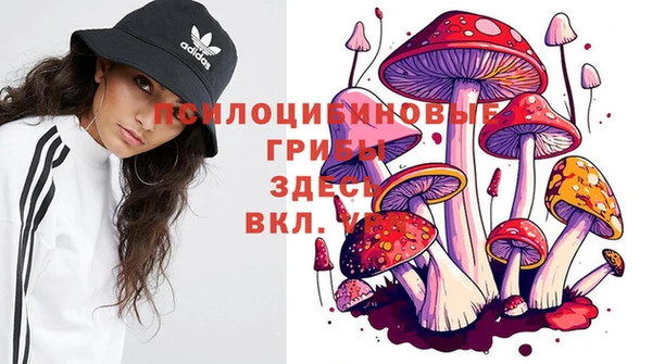 марки lsd Беломорск
