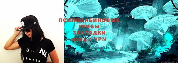 ALPHA-PVP Белокуриха