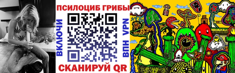 магазин продажи наркотиков мориарти официальный сайт Псилоцибиновые грибы ЛСД Пионерский