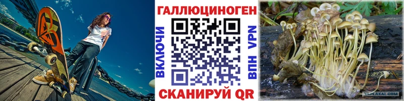 Псилоцибиновые грибы MAGIC MUSHROOMS Пионерский