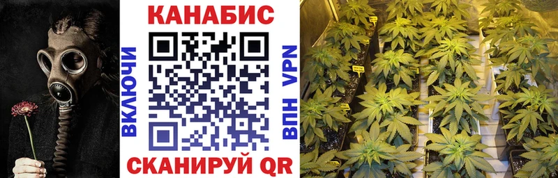 Каннабис семена  как найти   Пионерский 